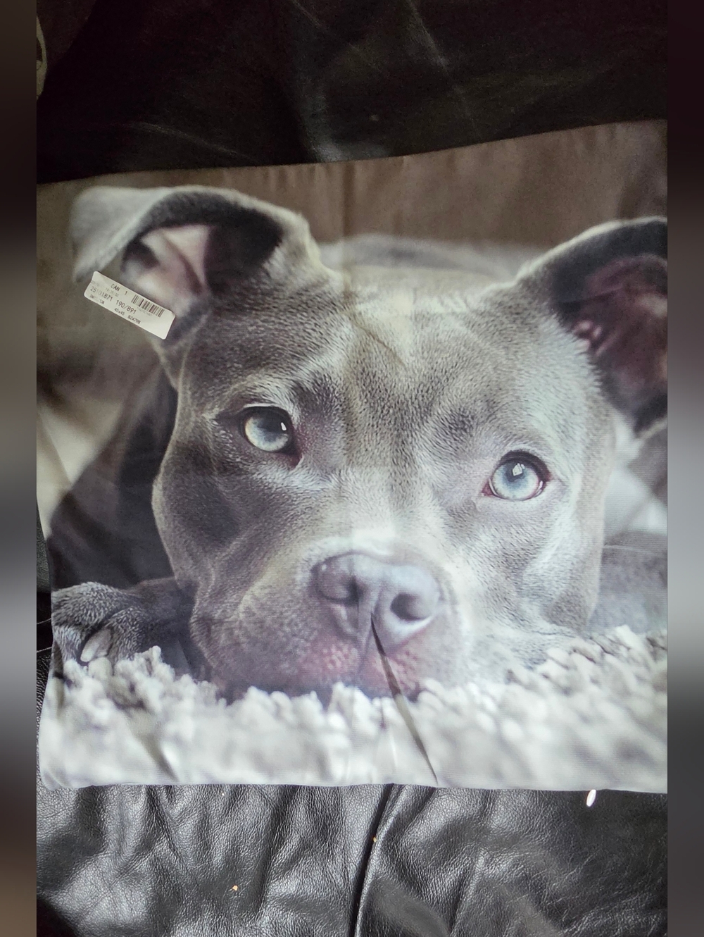 Grey Pitbull Photo Accent Pillow Case 17.5"×17.5" NWT - Picture 4 of 7